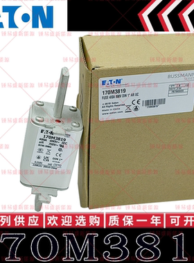 170M3819 400A 690V 700V 现货 巴斯曼BUSSMANN快速熔断器 保险丝