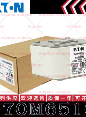 170M系列巴斯曼快速熔断器 170M6516 170M6517 170M6518 170M6519