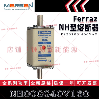 法国ferraz shawmut熔断器 NH00GG40V125 NH00GG40V160 400V 125A