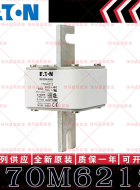 170M系列巴斯曼快速熔断器 170M6212 170M6213 170M6214 170M6215