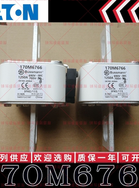 170M系列巴斯曼快速熔断器 170M6766 170M6767 170M6768 170M6769