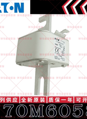 170M系列巴斯曼快速熔断器 170M6058 170M6059 170M6060 170M6061