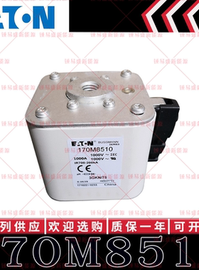 170M系列巴斯曼快速熔断器 170M8510 170M8511 170M8512 170M8513