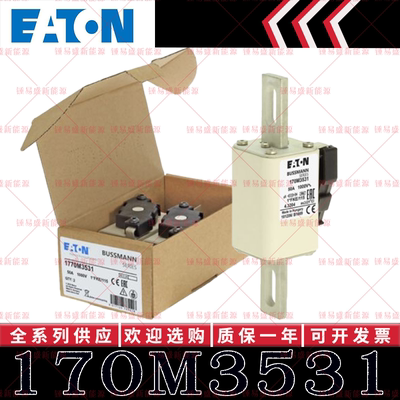 170M系列巴斯曼快速熔断器 170M3531 170M3532 170M3533 170M3534