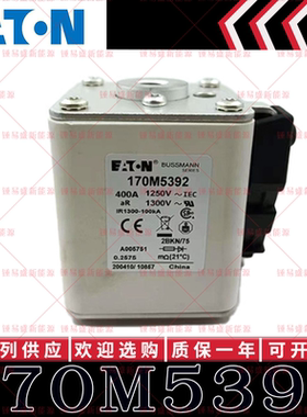 170M系列巴斯曼快速熔断器 170M5392 170M5393 170M5394 170M5395