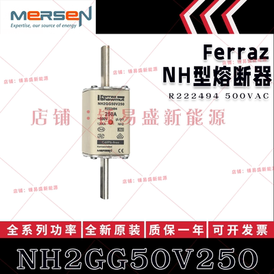 法国ferraz shawmut熔断器 NH2GG50V250/V300/V315/V355/V400/V42
