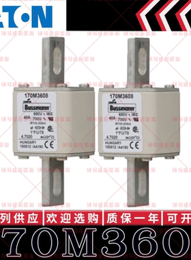 170M系列巴斯曼快速熔断器 170M3608 170M3609 170M3610 170M3611