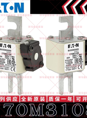 170M系列巴斯曼快速熔断器 170M3108 170M3109 170M3110 170M3111