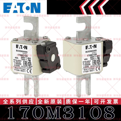 170M系列巴斯曼快速熔断器 170M3108 170M3109 170M3110 170M3111