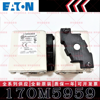 170M系列巴斯曼快速熔断器 170M5958 170M5959 170M5960 170M5961