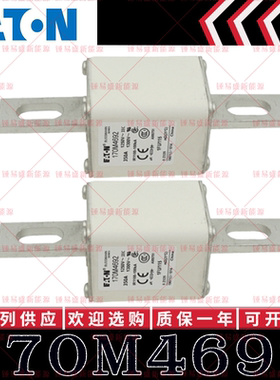 170M系列巴斯曼快速熔断器 170M4692 170M4693 170M4694 170M4695