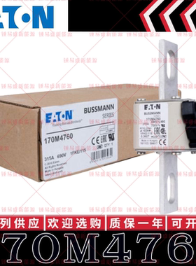 170M系列巴斯曼快速熔断器 170M4758 170M4759 170M4760 170M4761