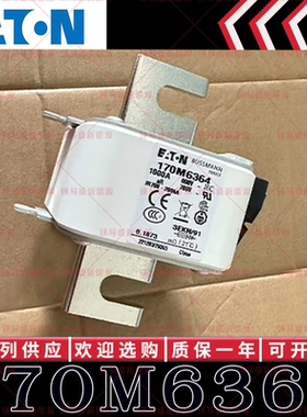 170M系列巴斯曼快速熔断器 170M6365 170M6366 170M6367 170M6368