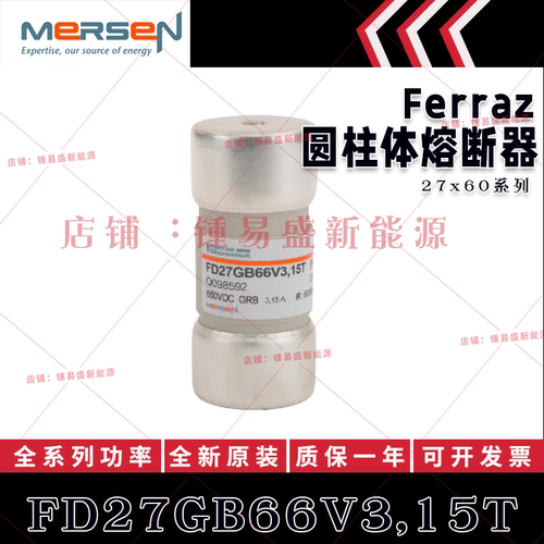L076301 FD27GB66V8T M076302 FD27GB66V10T L075703 N076303 熔