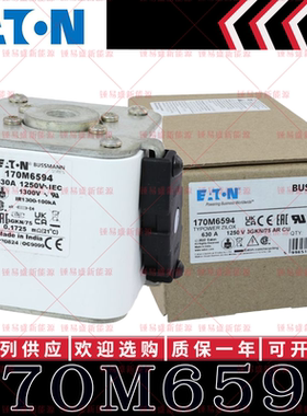 170M系列巴斯曼快速熔断器 170M6592 170M6593 170M6594 170M6595