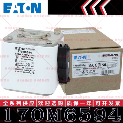 170M系列巴斯曼快速熔断器 170M6592 170M6593 170M6594 170M6595