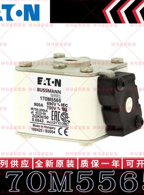 170M系列巴斯曼快速熔断器 170M5565 170M5566 170M5567 170M5568