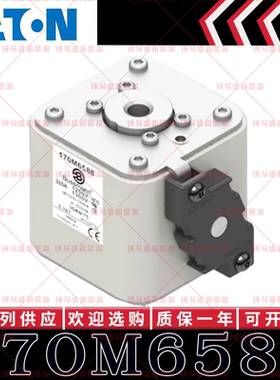 170M系列巴斯曼快速熔断器 170M6588 170M6589 170M6590 170M6591