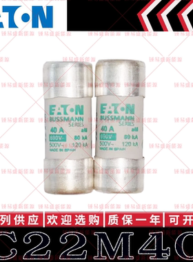 BUSSMANN保险丝C22M40 C22M50 C22M63 C22M80 C22M100 690V