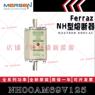 法国ferraz shawmut熔断器 NH00AM69V50/V63/V80/V100/V125 陶瓷