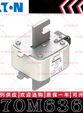 170M系列巴斯曼快速熔断器 170M6362 170M6363 170M6364 170M6365