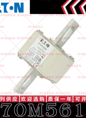 170M系列巴斯曼快速熔断器 170M5612 170M5613 170M5614 170M5615