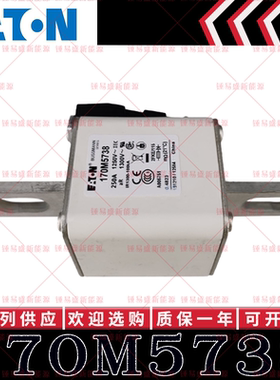 170M系列巴斯曼快速熔断器 170M5738 170M5739 170M5740 170M5741
