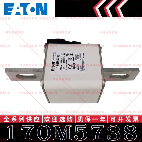 170M系列巴斯曼快速熔断器 170M5738 170M5739 170M5740 170M5741