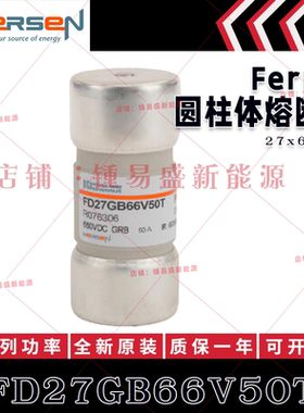 R076306 FD27GB66V50T P079961 FD27GB66V63T S079964 T099400 熔