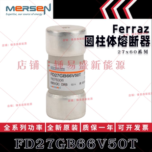 FD27GRB66V50T FD27GRB66V63T FD27GRB66V80T FD27GRB66V100T 熔