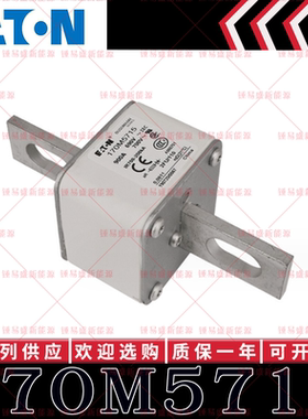170M系列巴斯曼快速熔断器 170M5715 170M5716 170M5717 170M5718