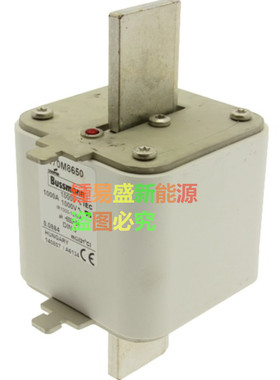 BUSSMANN快速熔断器170M8643 170M8644 170M8645 170M8646可直拍