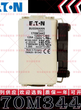 170M系列巴斯曼快速熔断器 170M3442 170M3443 170M3444 170M3445
