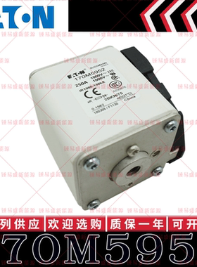 170M系列巴斯曼快速熔断器 170M5952 170M5953 170M5954 170M5955