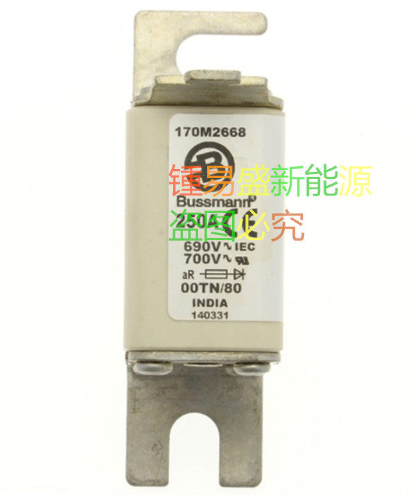 欧标BUSSMANN熔丝170M2672/2673/2674/2675/2676/2677/2678/2679 - 实物图