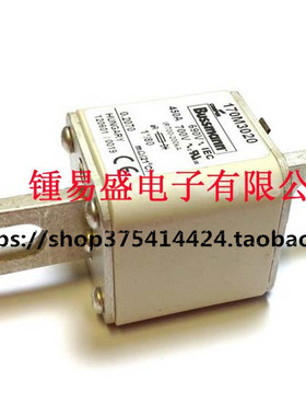 熔断器170M3108/3109/3110/3111/3112/3113/3114/3115/3116/3117