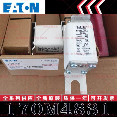 170M系列巴斯曼快速熔断器 170M4830 170M4831 170M4832 170M4833