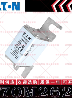 170M2620 350A 690V 700V 现货巴斯曼BUSSMANN快速熔断器 保险丝