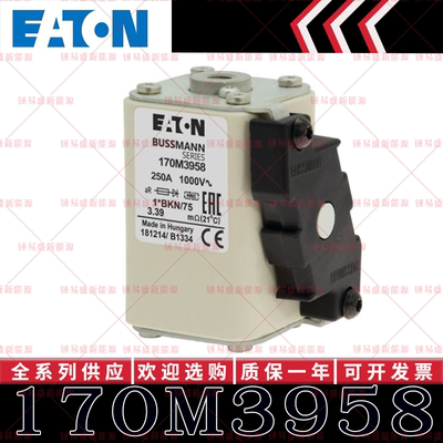 170M系列巴斯曼快速熔断器 170M3958 170M3959 170M3960 170M3961