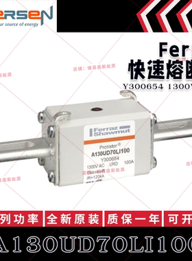 罗兰美尔森熔断器 A130UD70LI100 Y300654 A130UD70LI125 Z300655