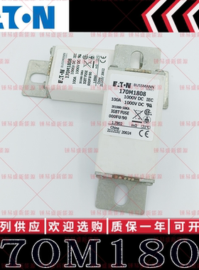 170M1808 100A 1000V 现货ETN 巴斯曼 BUSSMANN快速熔断器 保险丝