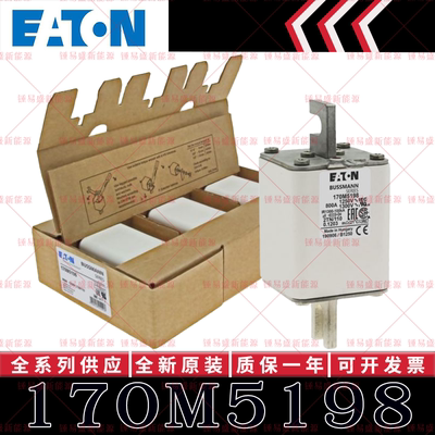 170M系列巴斯曼快速熔断器 170M5197 170M5198 170M5199 170M5200