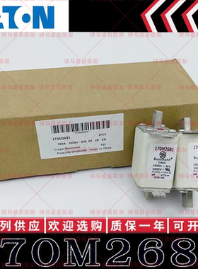 170M2681 100A 1000V 现货伊顿巴斯曼BUSSMANN快速熔断器 保险丝