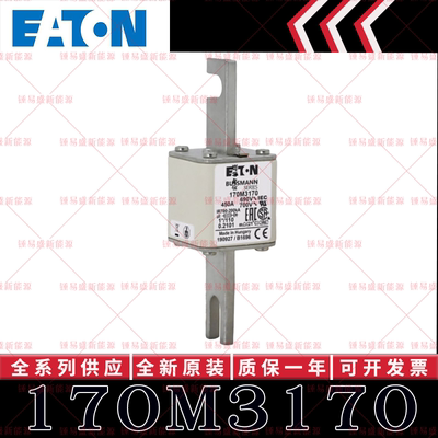 BUSSMANN巴斯曼快速熔断器 170M3170 170M3171 170M3172 170M3173