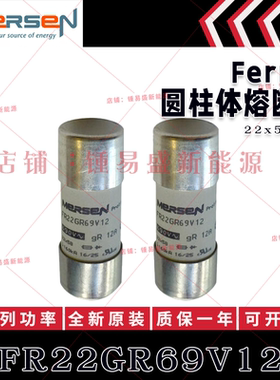 FR22GR69V12/V16/V20/V25/V32/V40/V50/V63/V80/V100/V125/V135