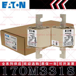 170M3320 170M3319 170M3321 170M3318 170M系列巴斯曼快速熔断器