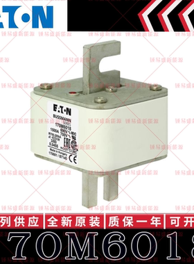 170M系列巴斯曼快速熔断器 170M6018 170M6019 170M6020 170M6021