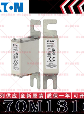 巴斯曼快速熔断器170M系列 170M1316 170M1317 170M1318 170M1319