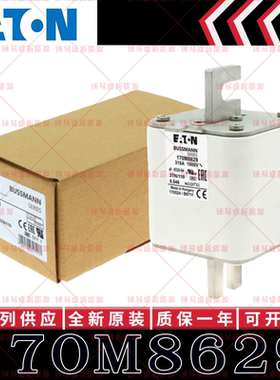 170M系列巴斯曼快速熔断器 170M8629 170M8630 170M8631 170M8632
