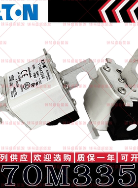 170M系列巴斯曼快速熔断器 170M3358 170M3359 170M3360 170M3361